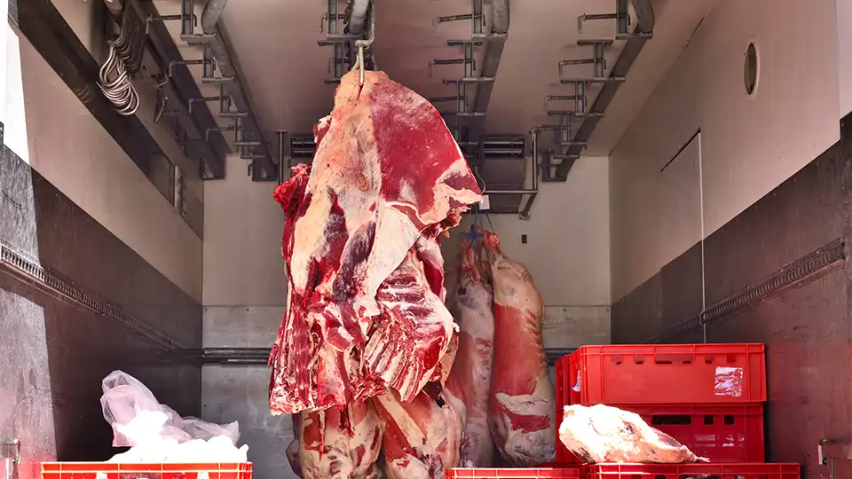 meat refrigerated truck loading